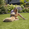 Royal Grass® Aura