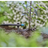 Gardena 13218 micro-drip-system buishouder 1/2"