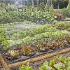 Gardena 13450 Start Set groenten & bloemen