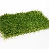 Green Delta kunstgras 400cm breed 50mm hoog