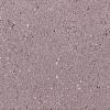 BSS/BKK straatklinker 21x10,5x8cm rood