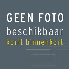 Betontegel 60x40x4,8 grijs HK GF
