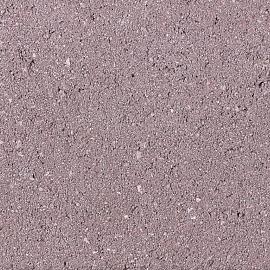 BSS/BKK straatklinker 21x10,5x8cm rood