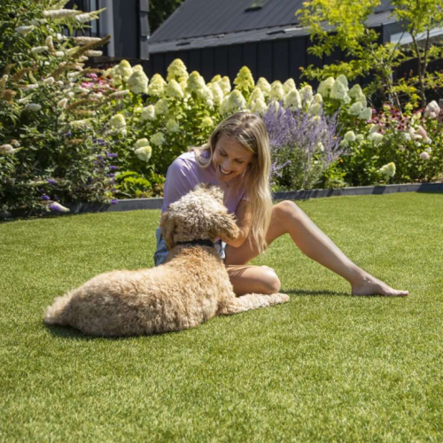 Royal Grass® Aura