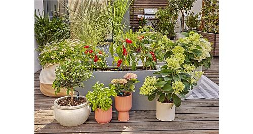 Gardena 13400 Start Set voor terras