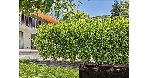 Gardena 13503 Druppelbuis onder&bovengronds 25m