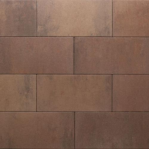 Redsun Eliton Supreme Linea XXS Adamello 60x30x4cm