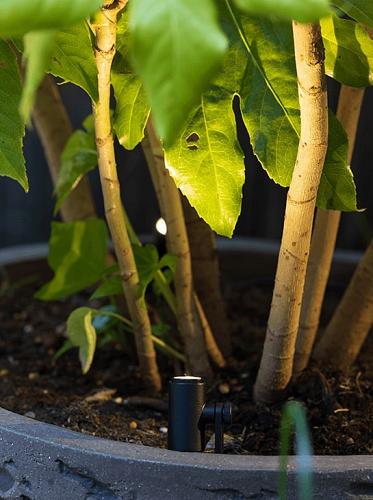 In-Lite LED spot Micro Scope 12V