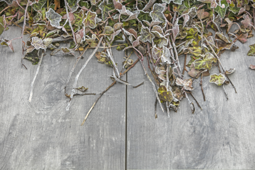 GeoCeramica® 80x40x4cm Timber Grigio
